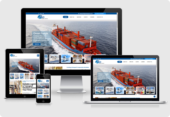 Professional Web Development Services